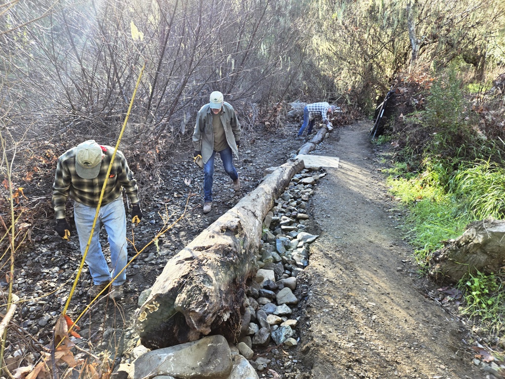 Adding rocks to both sides of the logs along the edge of the path